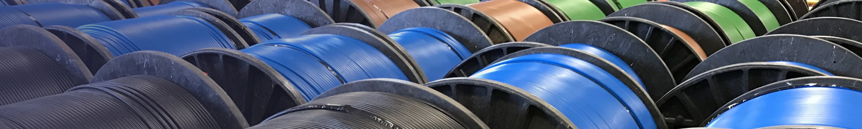 environmental sustainability